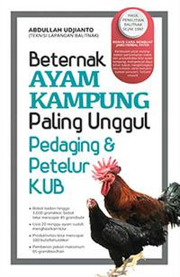 Image of Berternak Ayam Kampung paling Unggul Pedaging Dan Petelur KUB