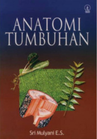 Image of Anatomi Tumbuhan