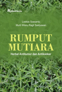 Image of Rumput Mutiara; Herbal Antitumor Dan Antikanker