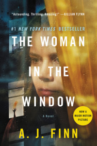 Image of Extraordinary Praise For The Woman In The Window